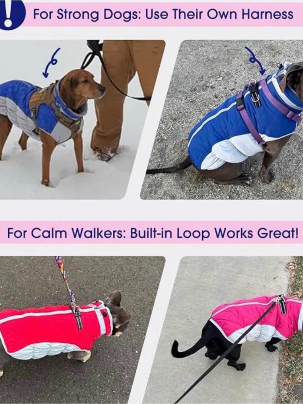 Dog Quilted Winter Coat - Blue and Red